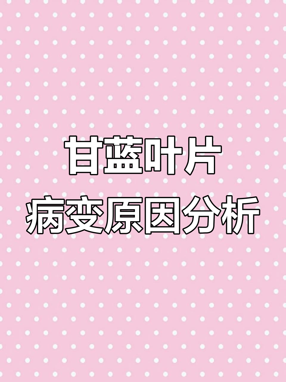 甘蓝病害来袭,雨后迅速蔓延!