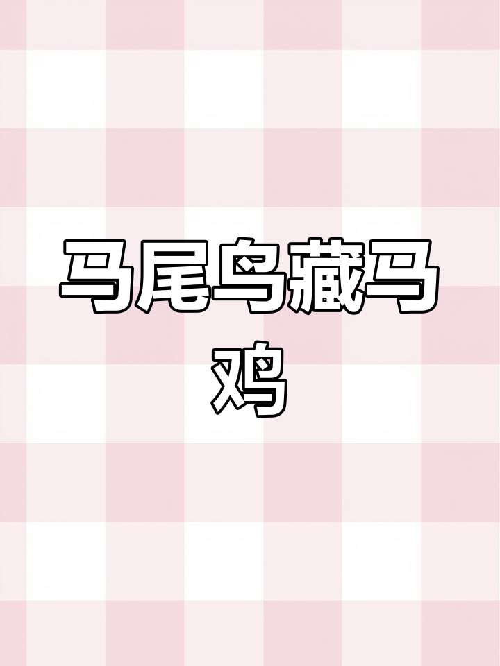 藏马鸡:青藏高原的独特鸟类
