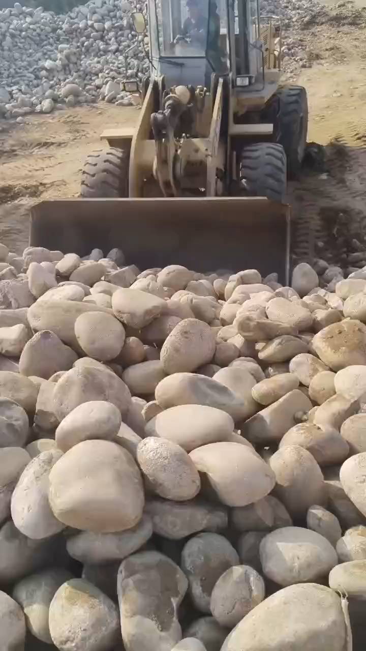 园林铺路假山 黄色鹅卵石水洗石