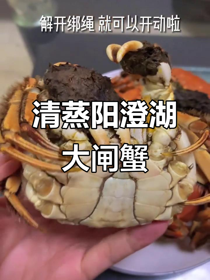 蒸阳澄湖大闸蟹,紫苏姜片去腥提鲜,做法超简单