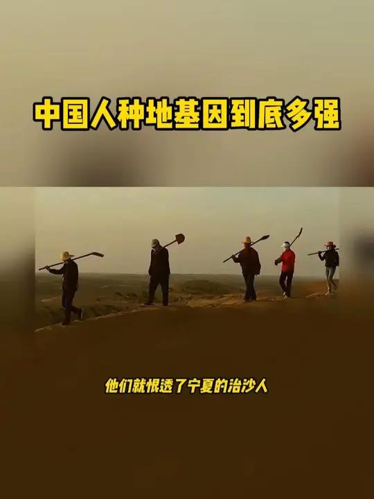 国产葡萄酒,当惊天下殊!宁夏产出的葡萄酒确实值得品尝