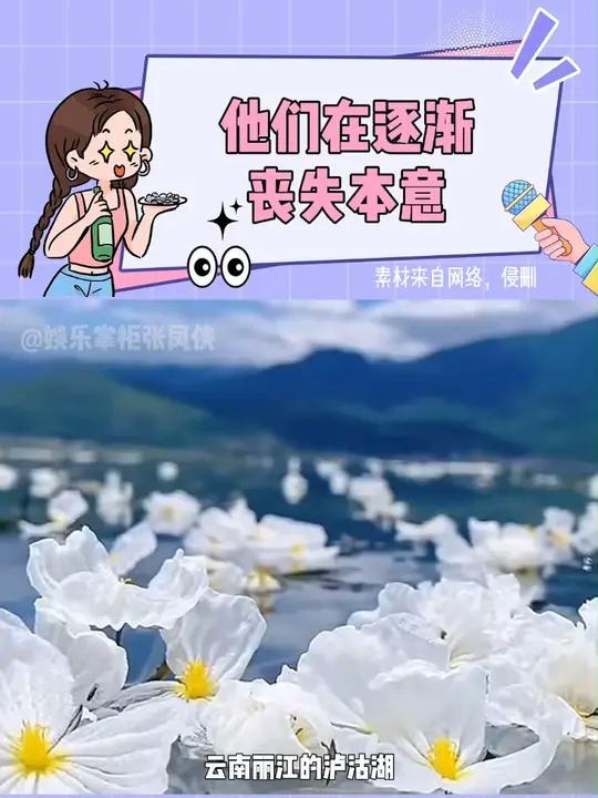 这些闪耀着文化光芒的词汇,一个接一个的被污名化