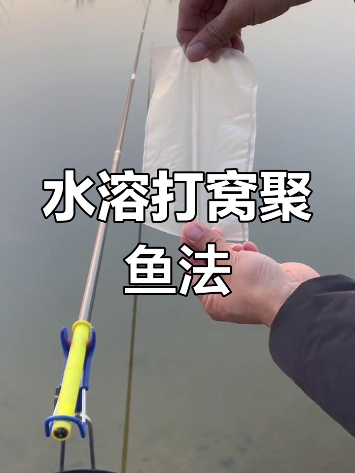 淀粉水溶打窝袋,让鱼群集中吃料