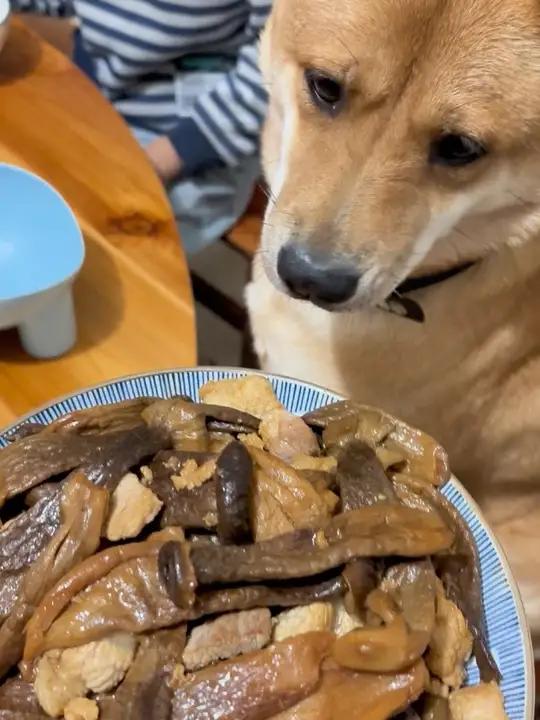 每天不知道想吃什么,今天我就推荐一款鹿茸菇,平时煲汤凉拌炒肉,想怎么吃就怎么吃