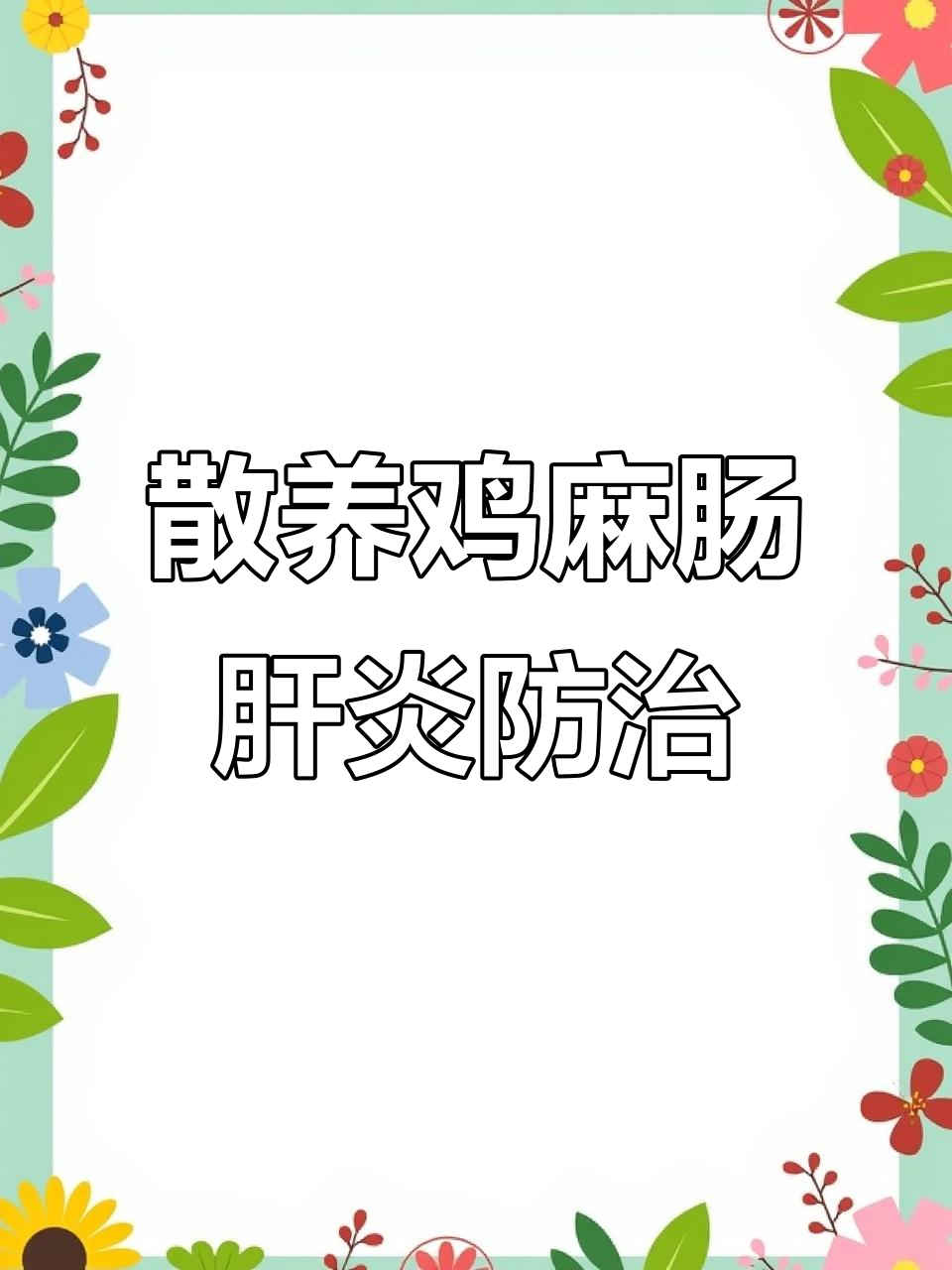散养鸡常见麻肠肝炎，驱虫保肝治疗效果显著