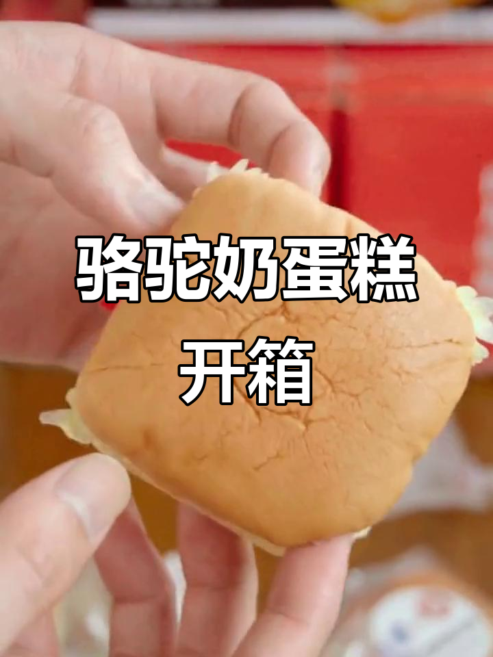 懒人早餐必备：骆驼奶蛋糕，Q弹绵软又营养