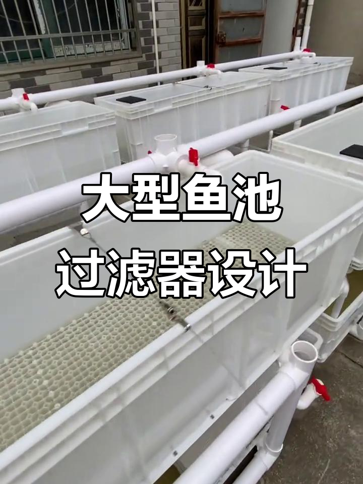 大型鱼池过滤系统揭秘:九路水路设计与智能控制模块