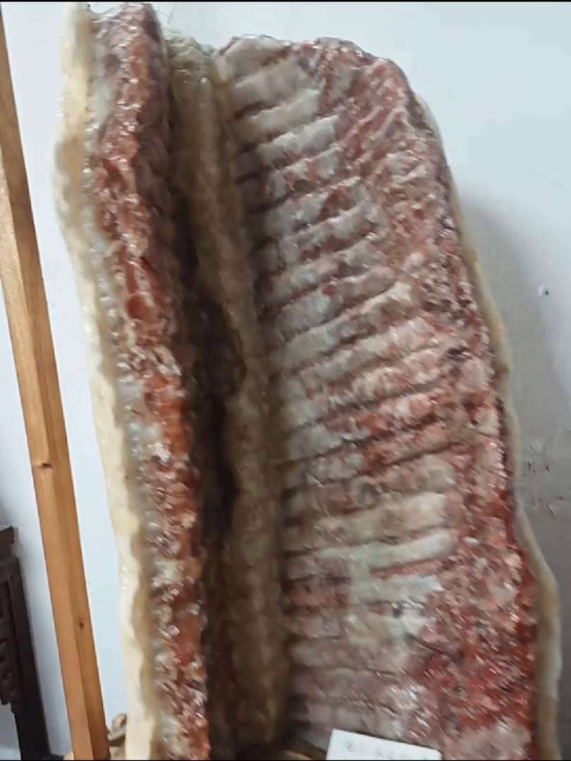 这是猪排骨还是石头 猪肉石 肉石 怪石 德安里