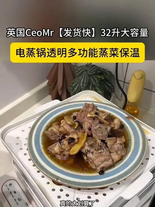 特别方便的电蒸锅、容量大颜值高、关键是价格也很划算 电蒸锅 特别方便的电蒸锅、容量大颜值高