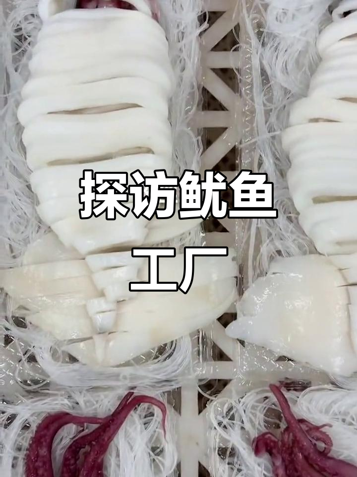 鱿鱼游戏大揭秘:粉丝、须条与加工厂的秘密