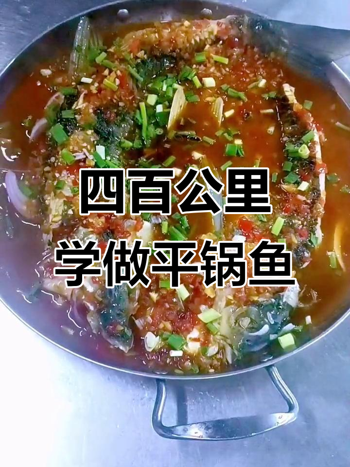 岳阳平锅鱼,四百公里的美味追求,下饭超香!