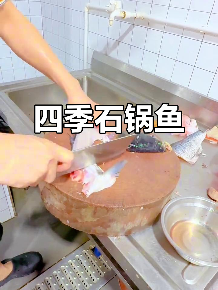 石锅鱼全年无淡季,简单操作,男女皆宜,快速上手!