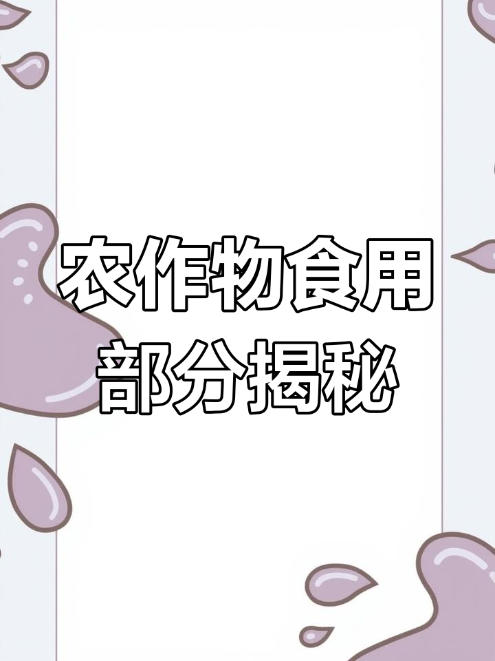 常见农产品与植物器官对应关系解析
