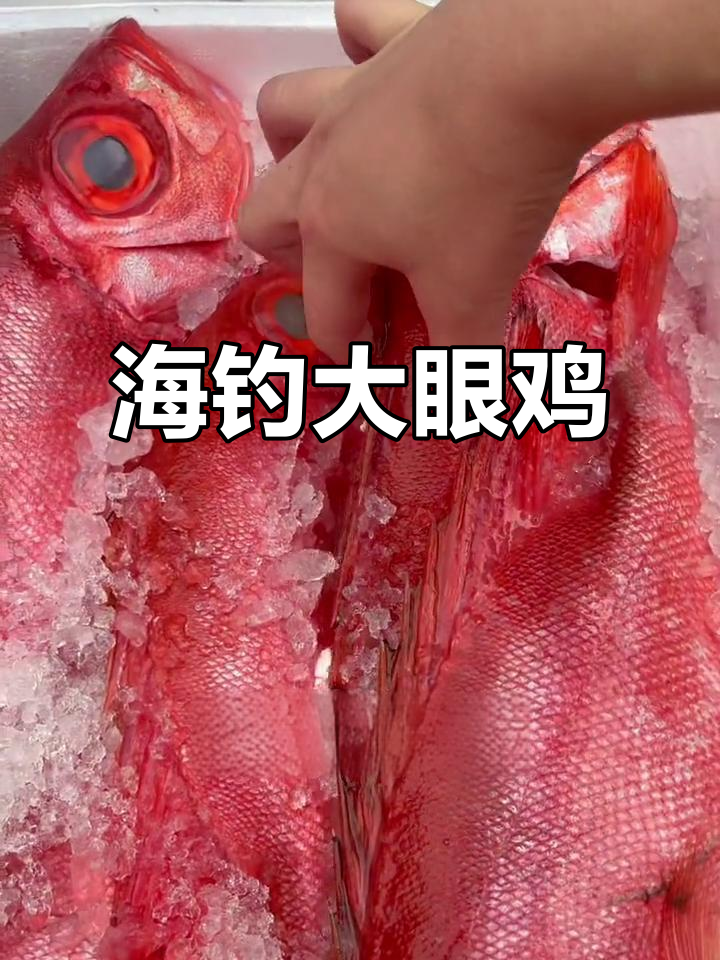 深海大眼鸡,眼睛闪闪发亮,肉质鲜美无比