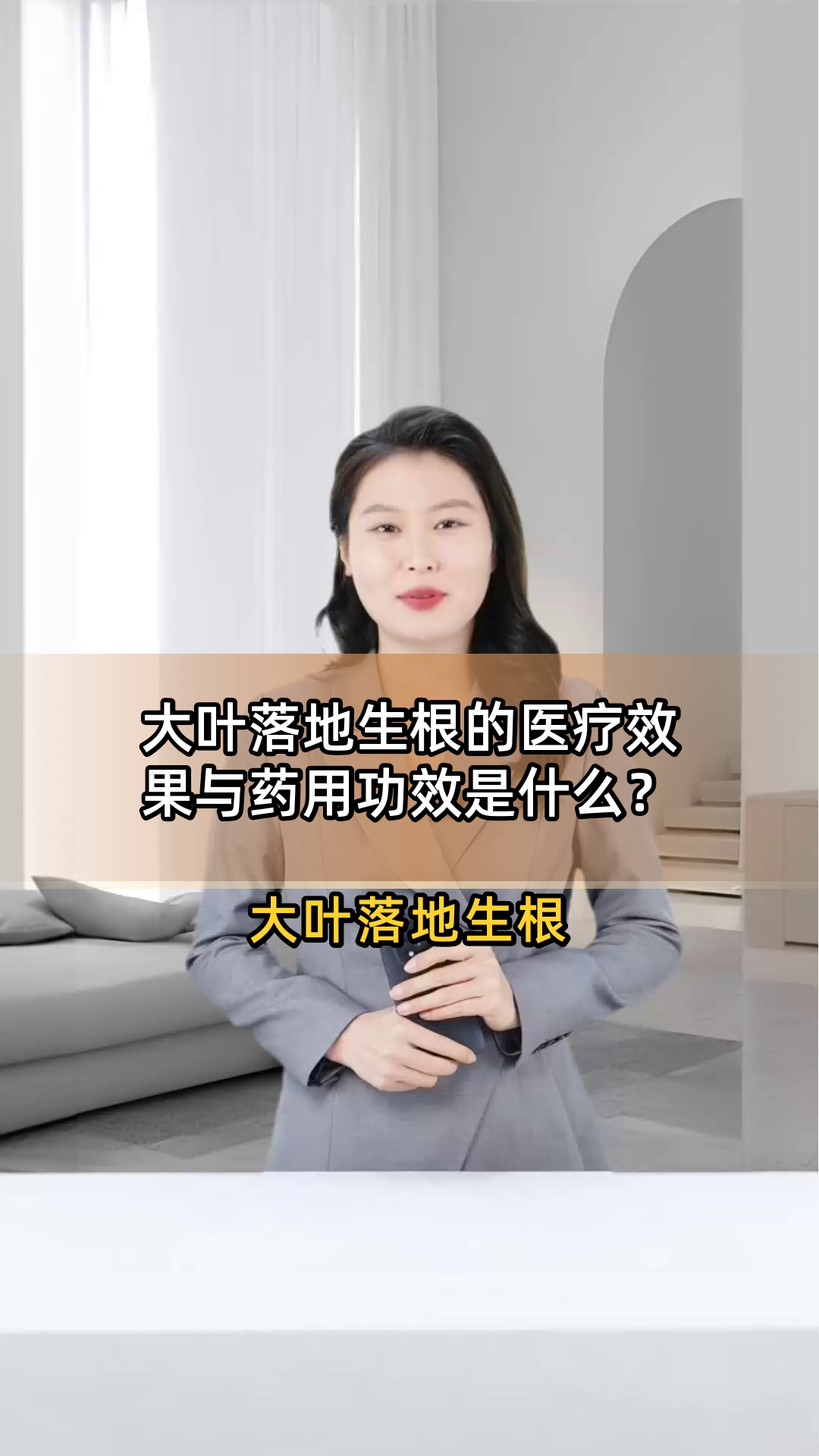 大叶落地生根的医疗效果与药用功效是什么?