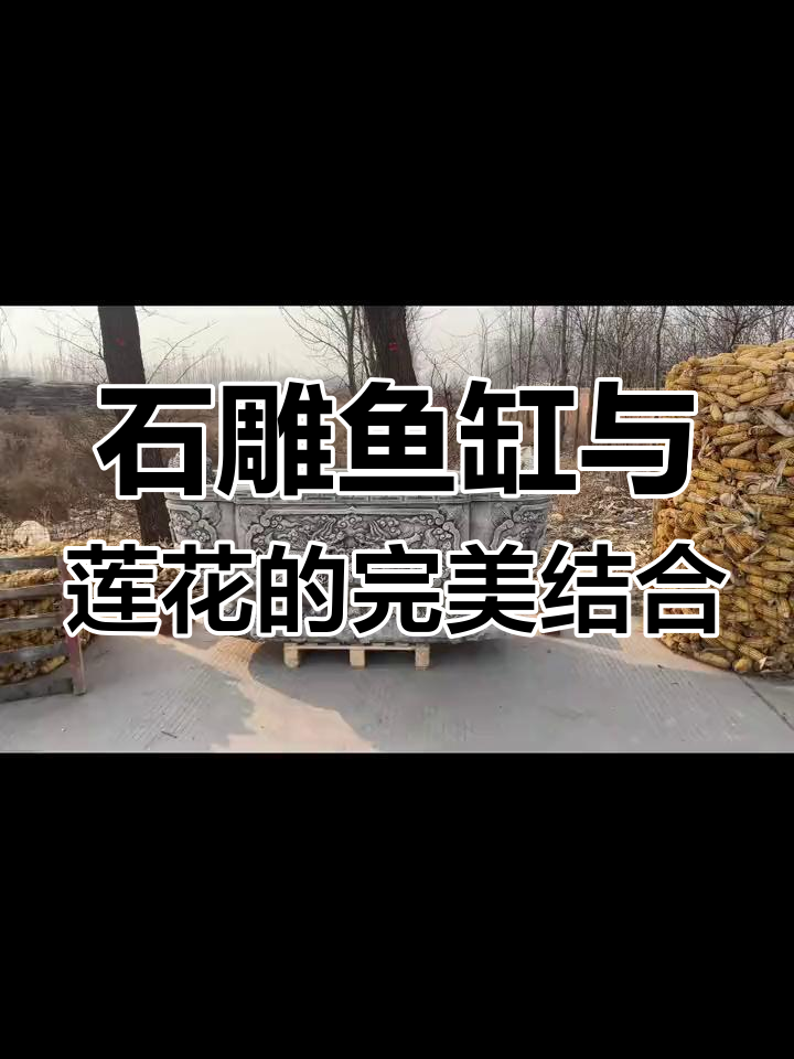 古风石雕鱼缸,莲花金鱼寓意深长