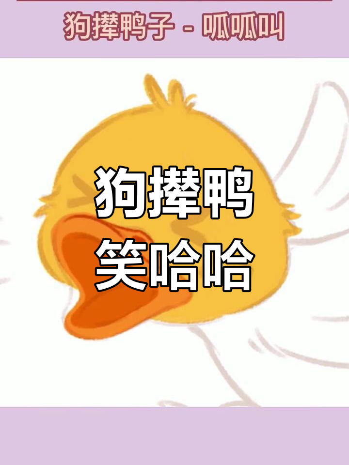 狗追鸭子,乐翻天