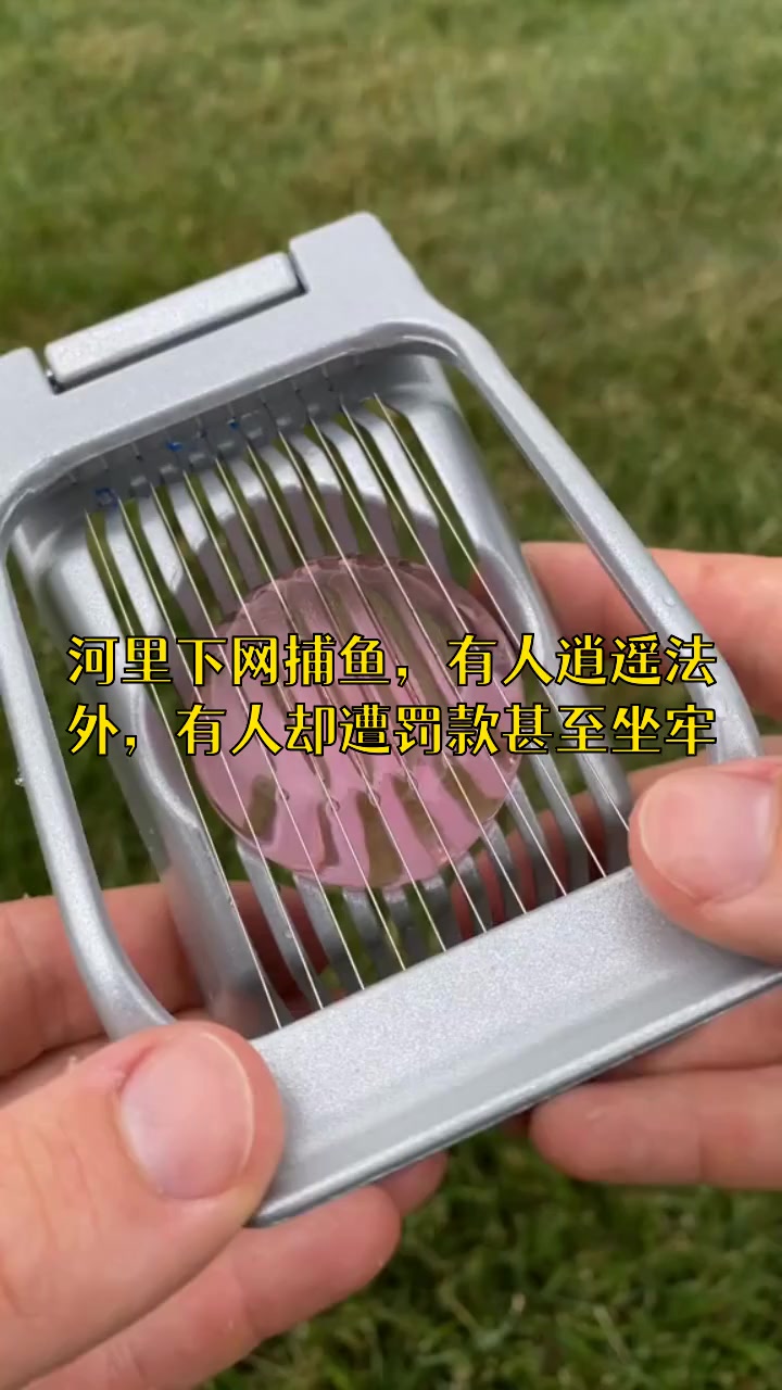 河里下网捕鱼违法吗