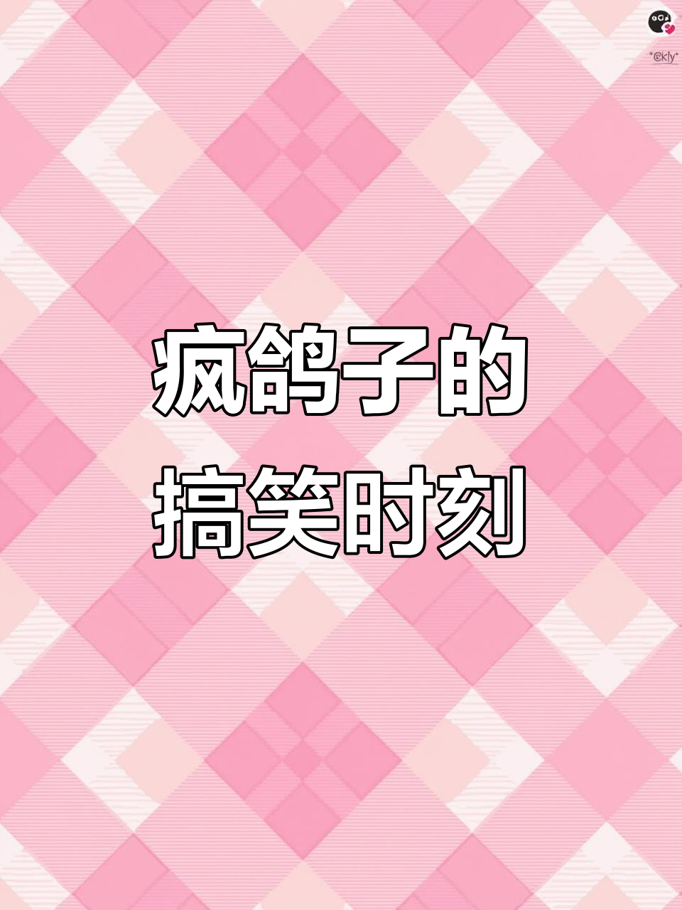 疯狂鸽子表情包大赏,搞笑瞬间全程笑翻