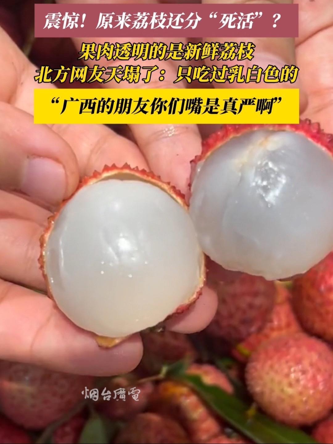 原来荔枝还分“死活”?新鲜荔枝果肉是透明的!荔枝