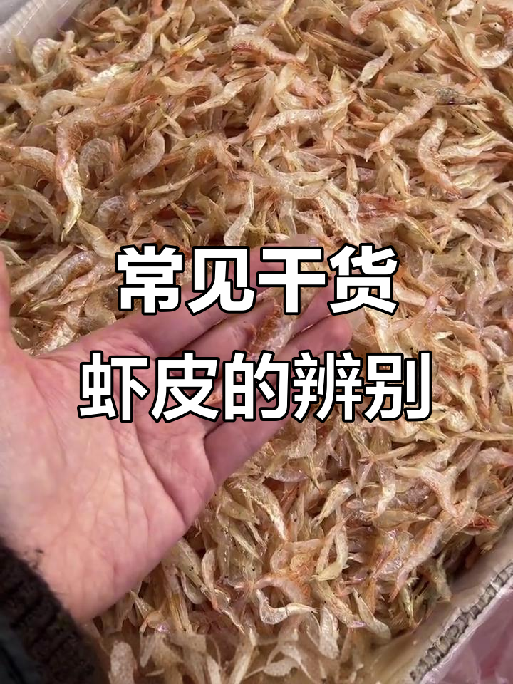 如何区分淡皮、虾皮、樱花虾和芒种皮等干货海鲜