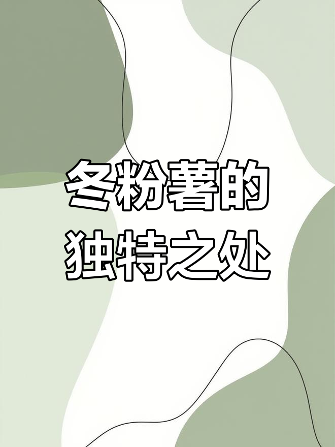 广东特产冬粉薯,冬季炖汤美味佳选