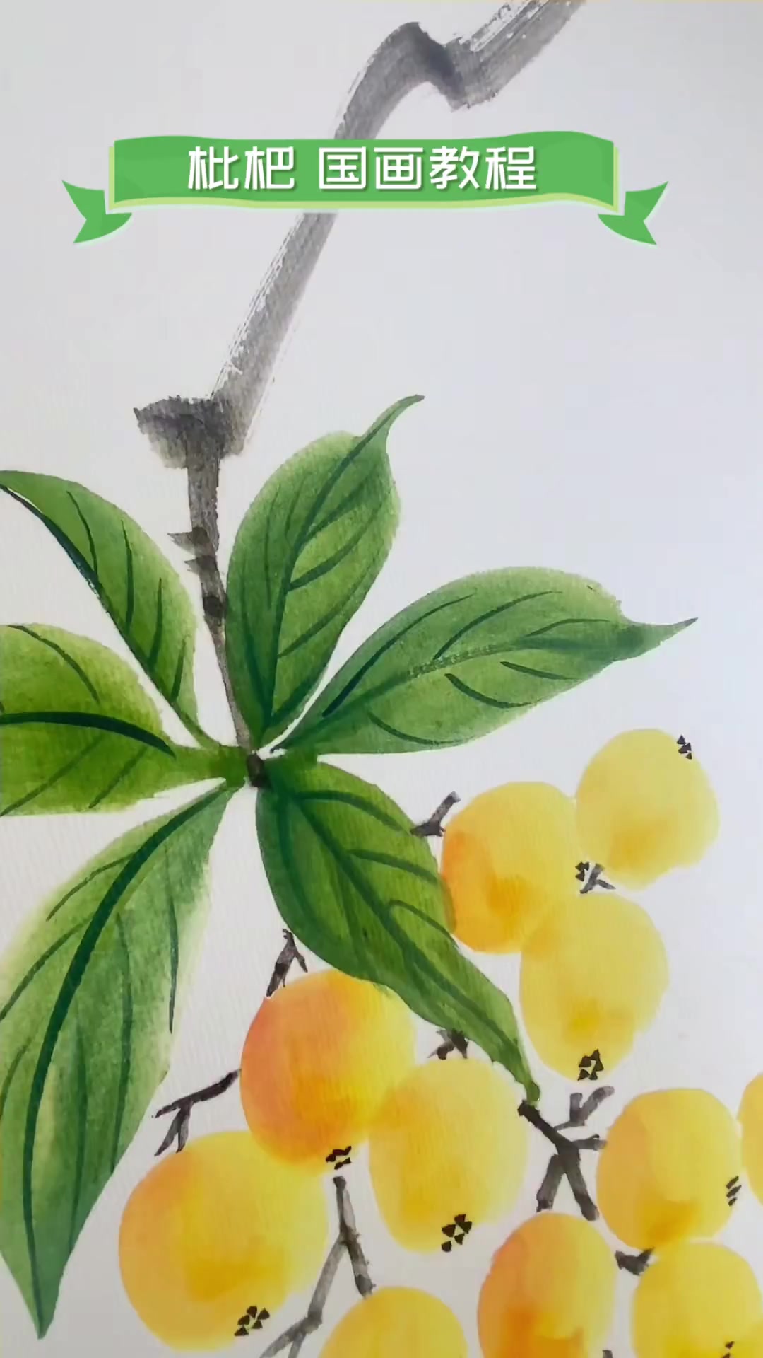 枇杷,国画教程