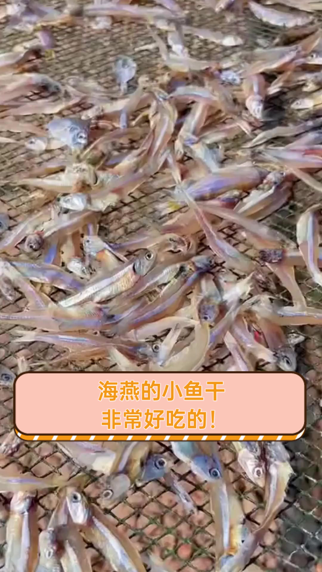 海燕的小鱼干,非常好吃的!