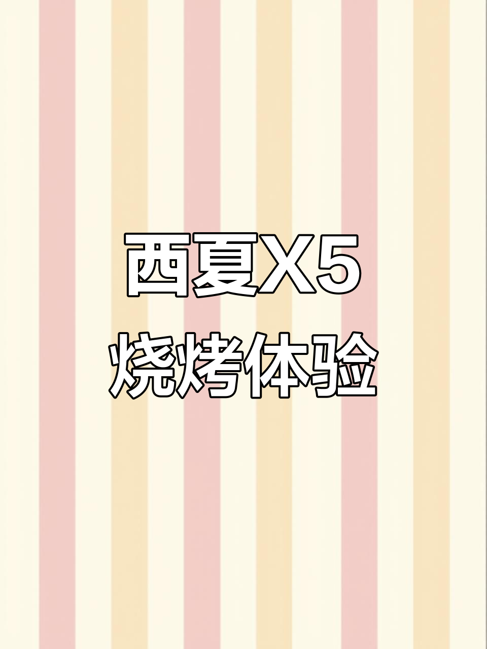 宁夏西夏X5烧烤啤酒,小黄鱼无刺超美味