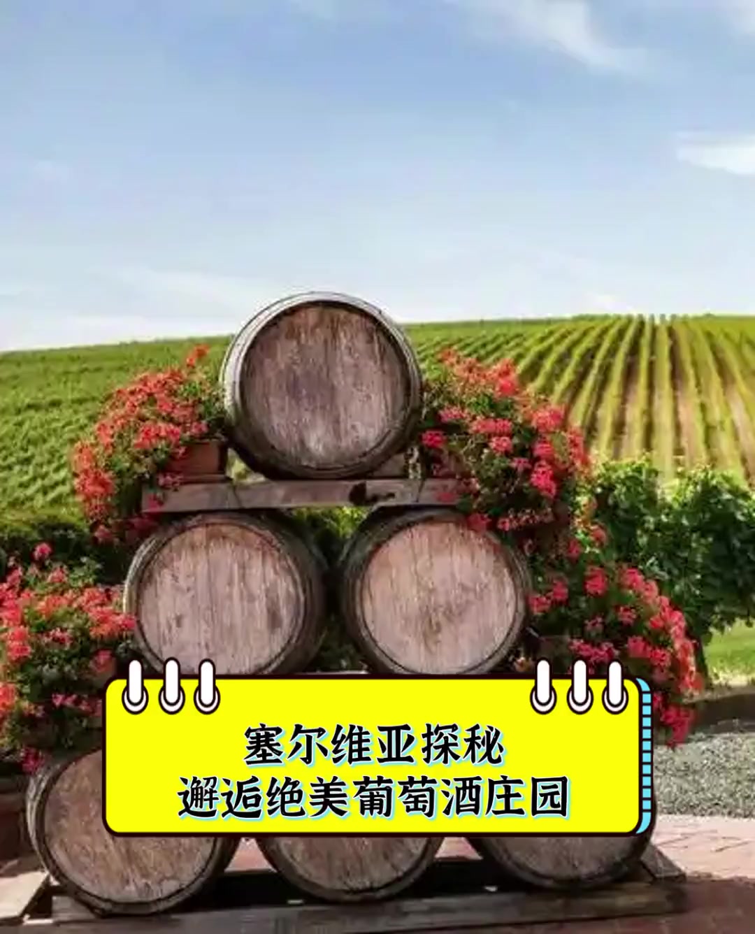 塞尔维亚探秘,邂逅绝美葡萄酒庄园