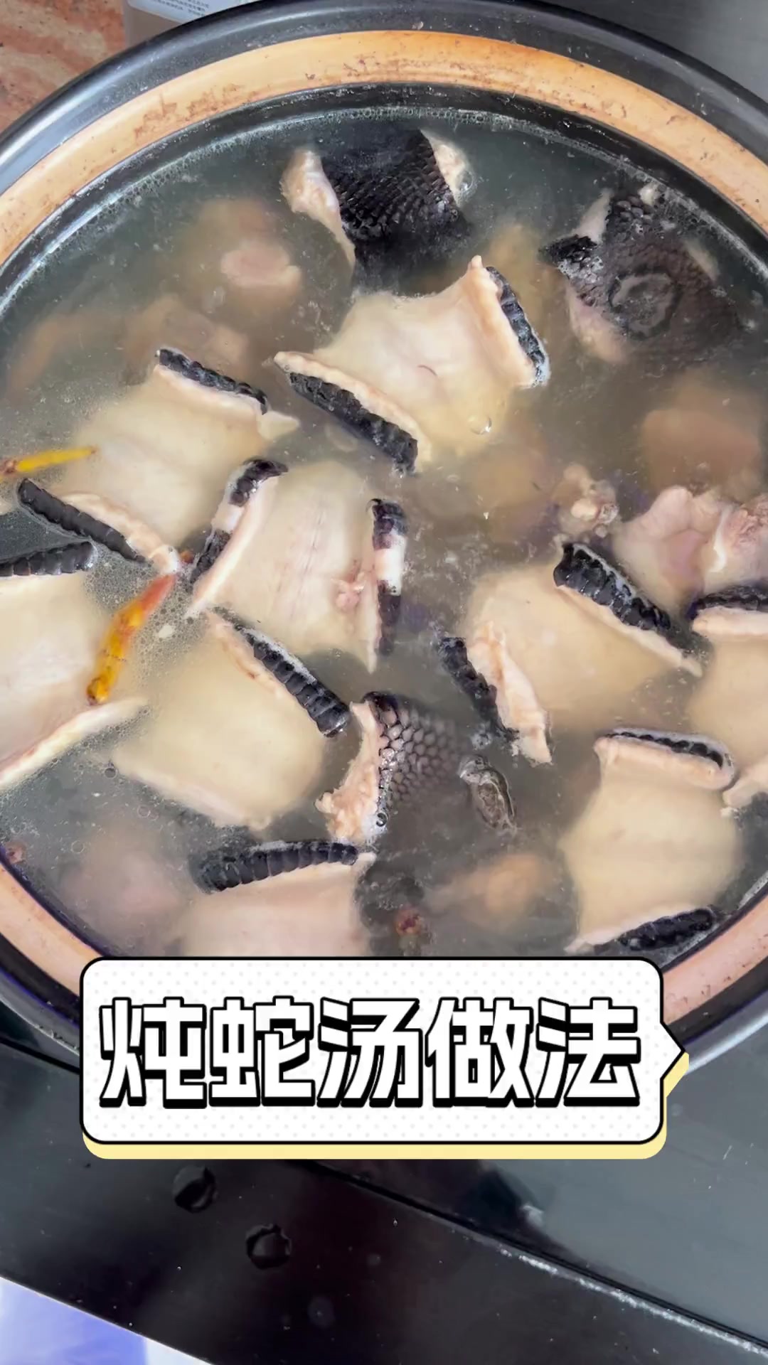 炖蛇汤做法