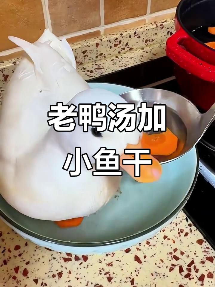 冬季滋补老鸭汤,胡萝卜和小鱼干让味道更鲜美