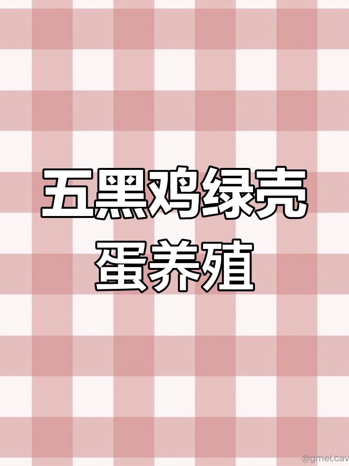 乡村鸡舍设计与建造全解析