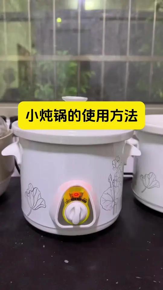 小炖锅的使用方法#小炖锅 #电炖锅 #养生锅