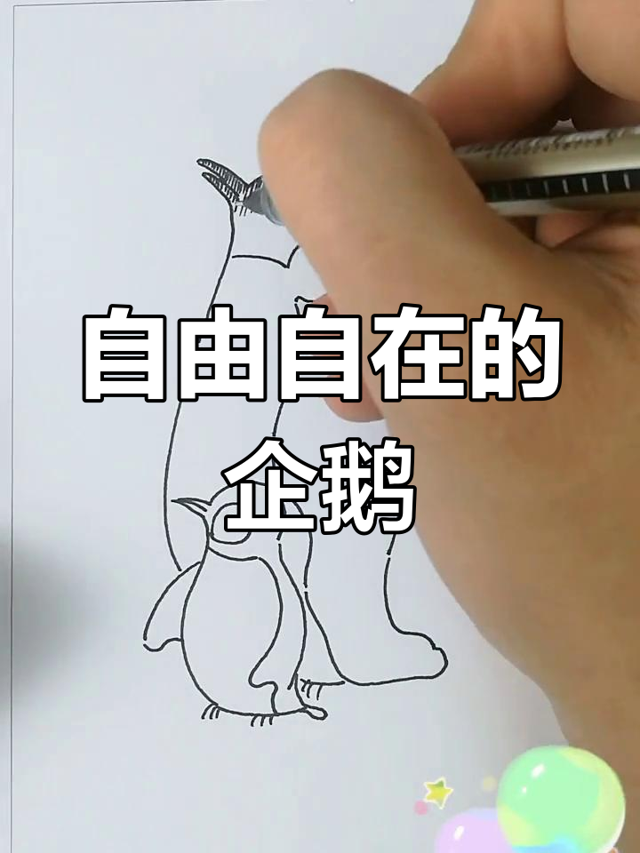 企鹅父子悠闲时光