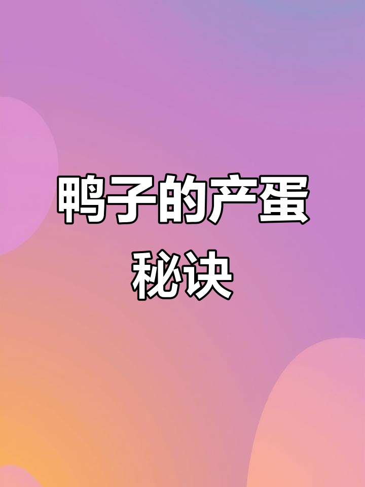鸭子吃什么能多下蛋?这些食物营养全面