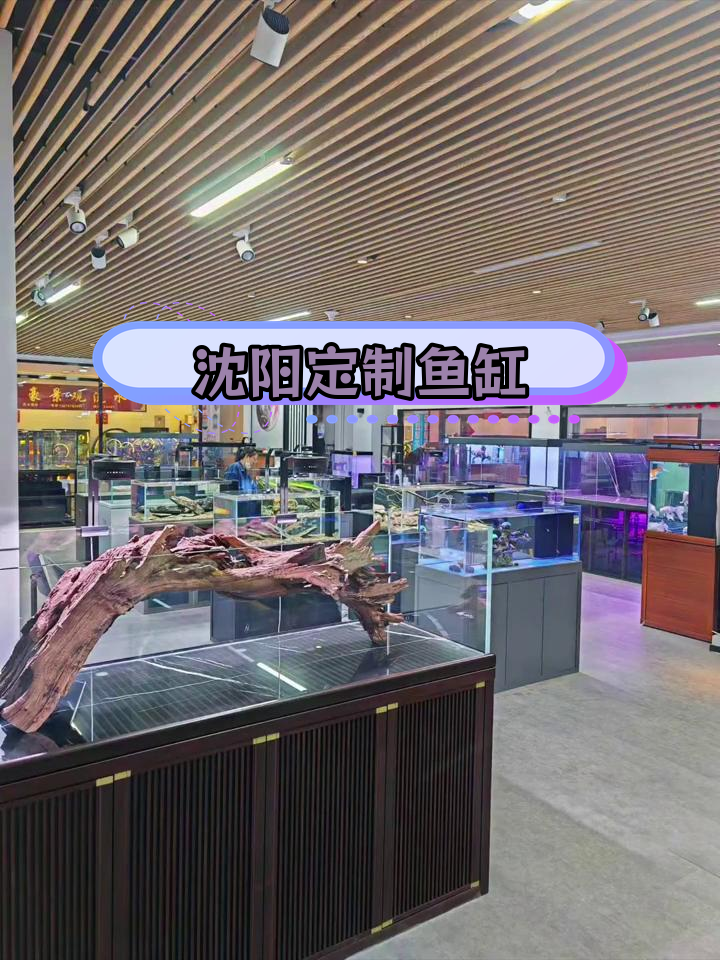 沈阳海鲸鱼缸工厂直销,品质保障