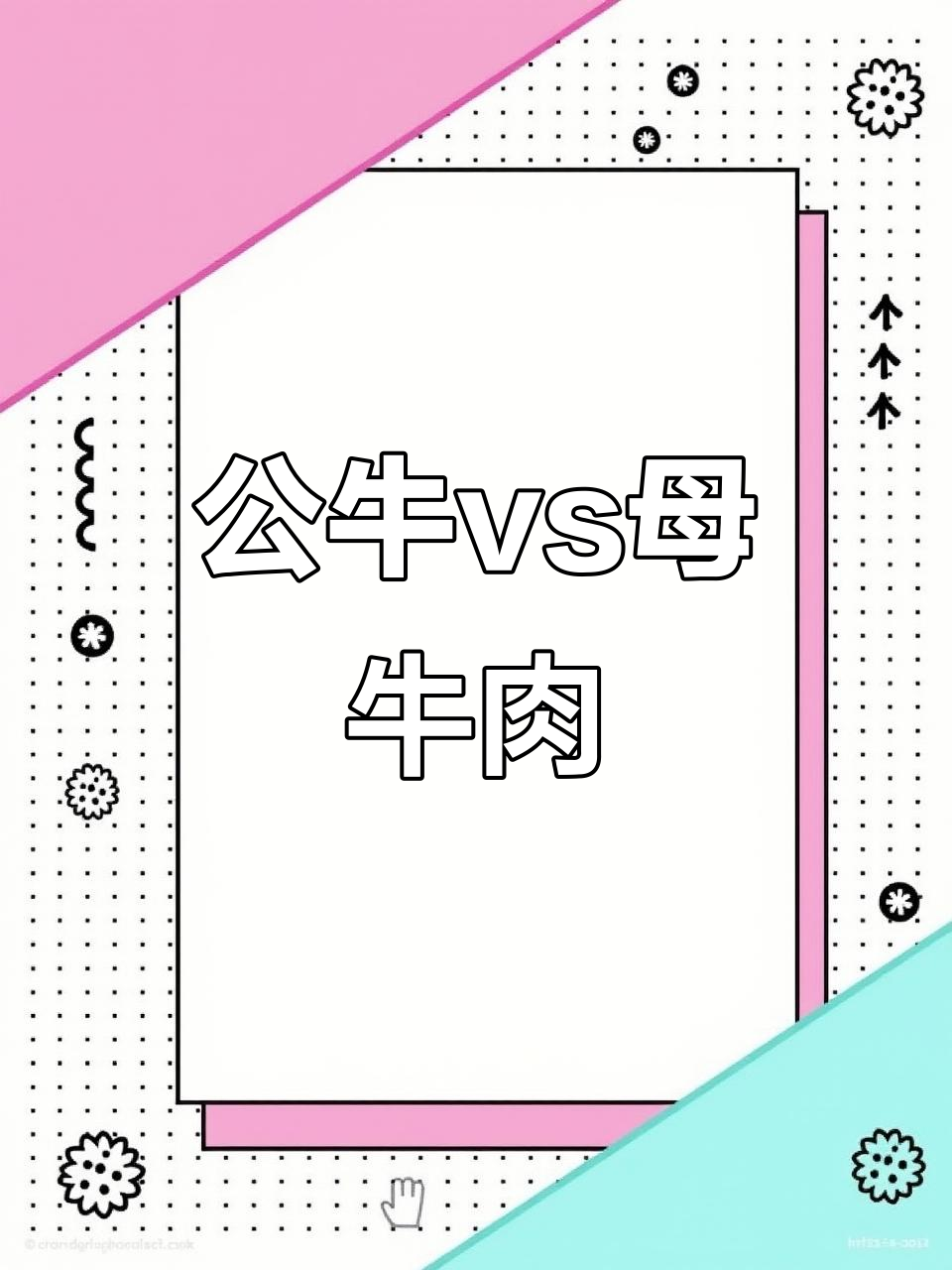 公牛肉与母牛肉口感大不同,选哪种更香嫩?