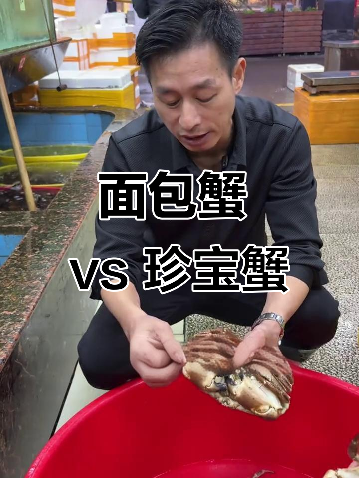 面包蟹与珍宝蟹大比拼,哪种更好吃?