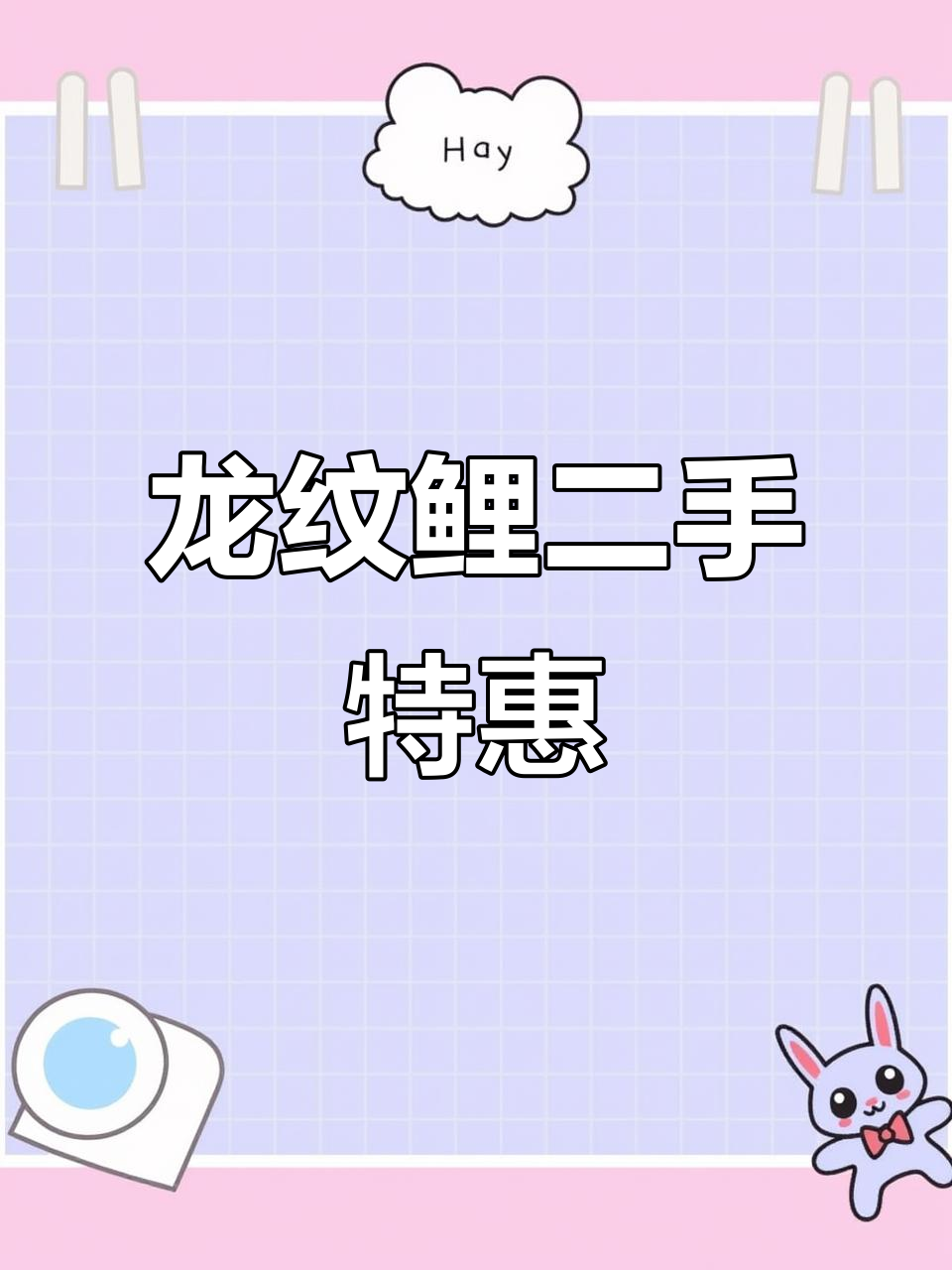 二手龙纹鲤，3.6米至5.4米全尺寸！