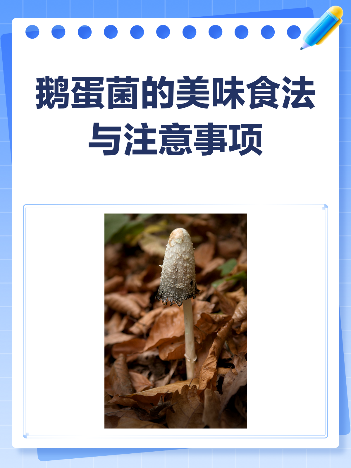 鹅蛋菌怎么吃?食用方法与注意事项来啦!