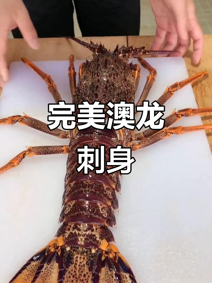 澳龙刺身:死掉的龙虾如何处理,肉质超嫩