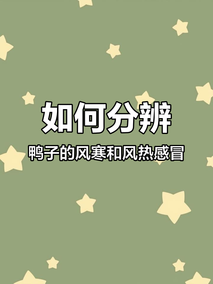 风寒与风热感冒如何区分?鸭子症状全解析