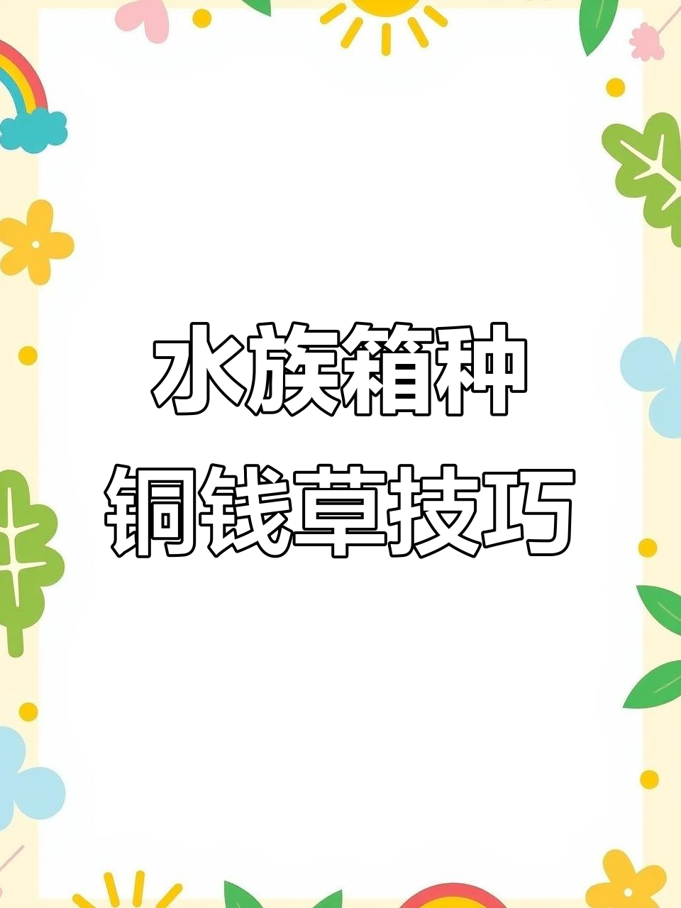 鱼缸水培铜钱草的正确方法,三步搞定!