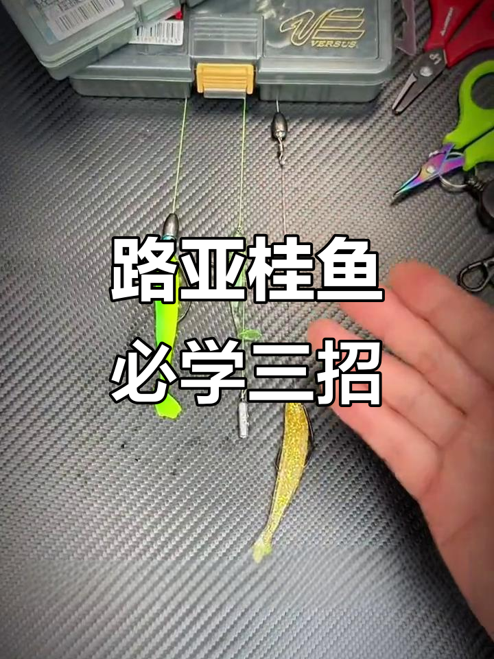 鳜鱼季必备三大路亚钓组,轻松掌握事半功倍
