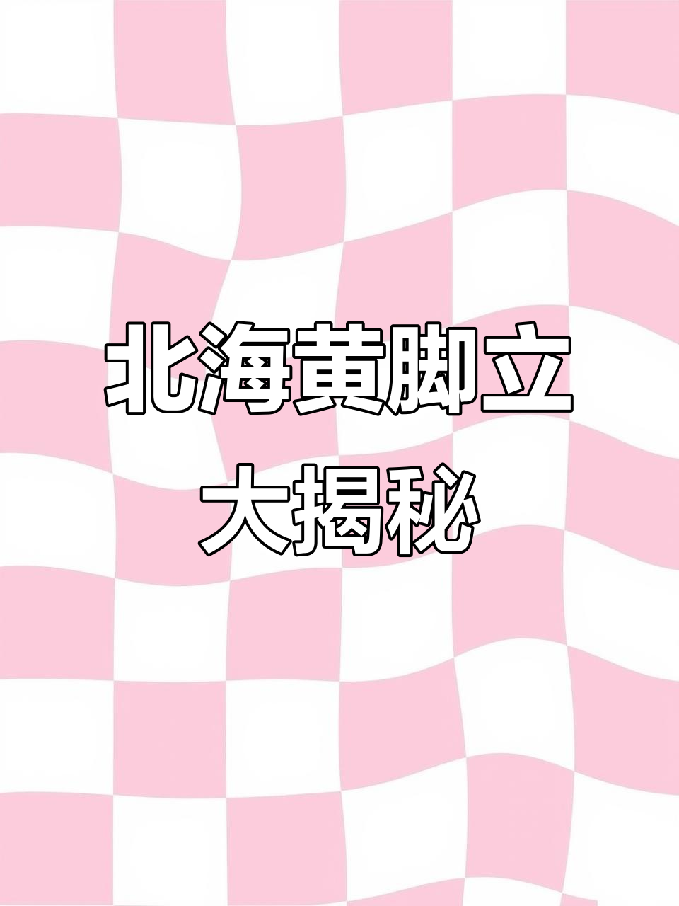 黄脚立价格超值,钓鱼佬纷纷质疑,今天揭秘真相!