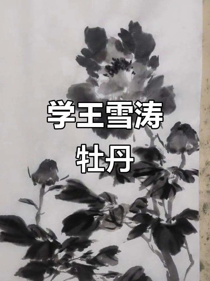 王雪涛牡丹国画技巧,轻松上手!