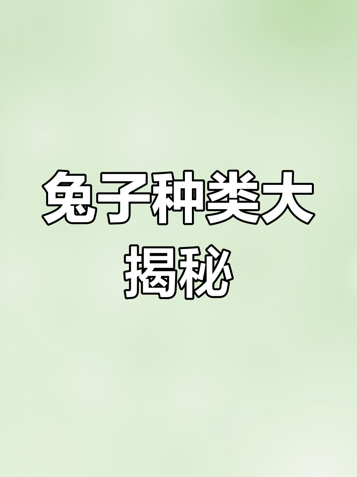 肉兔品种全解析
