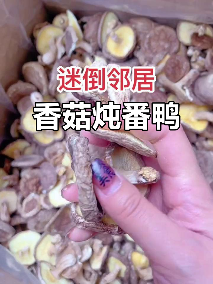 香菇炖番鸭,香气扑鼻让人心情大好