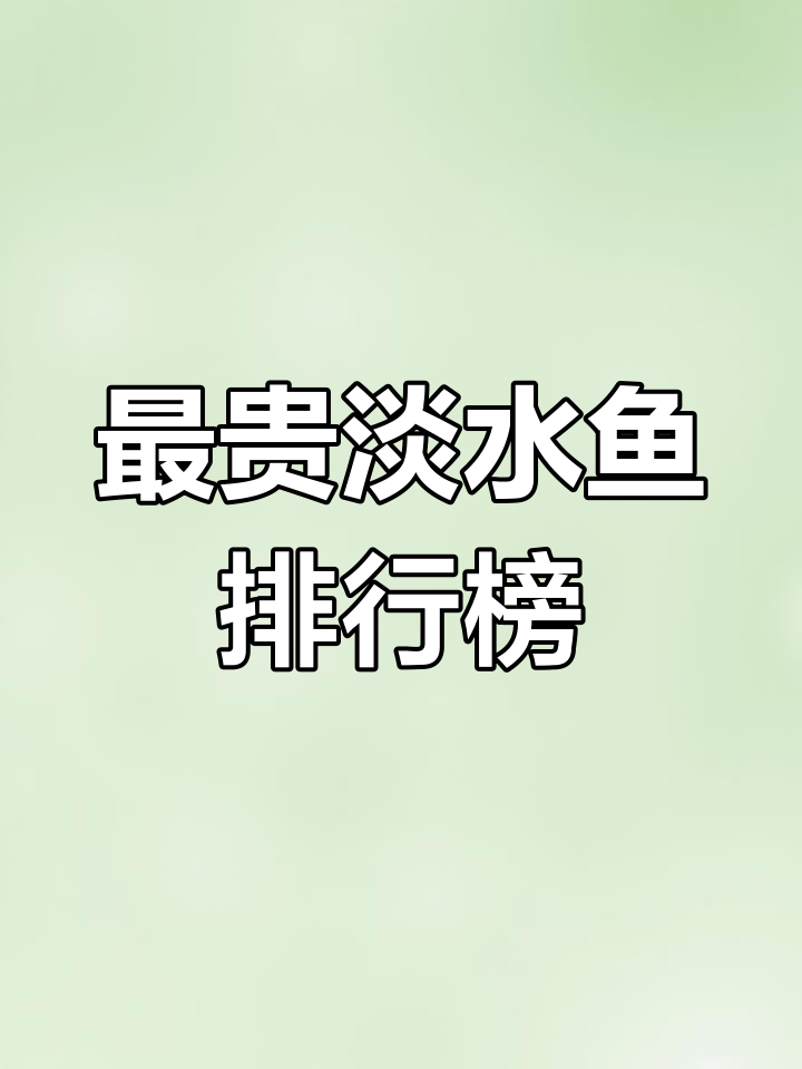 国内最昂贵的淡水鱼,价格堪比一套房